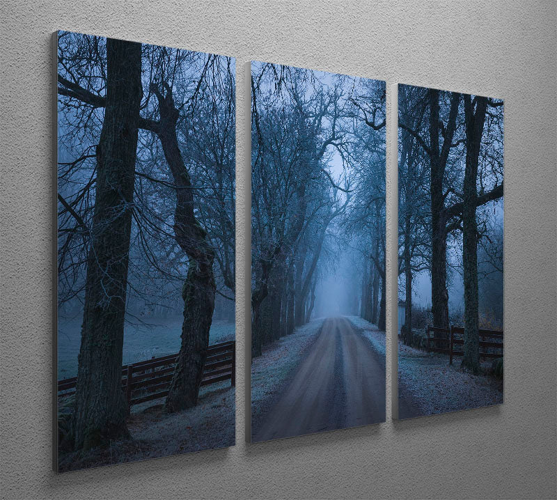 Sleepy Hollow 3 Split Panel Canvas Print featuring a captivating design with three high-quality canvases, perfect for enhancing any room's decor.