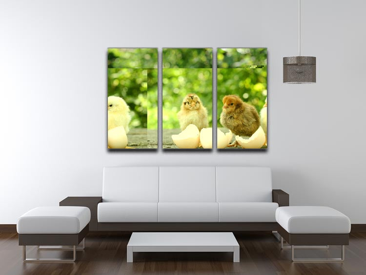 A beautiful 3-panel canvas print featuring small chicks and delicate egg shells, perfect for home decor.
