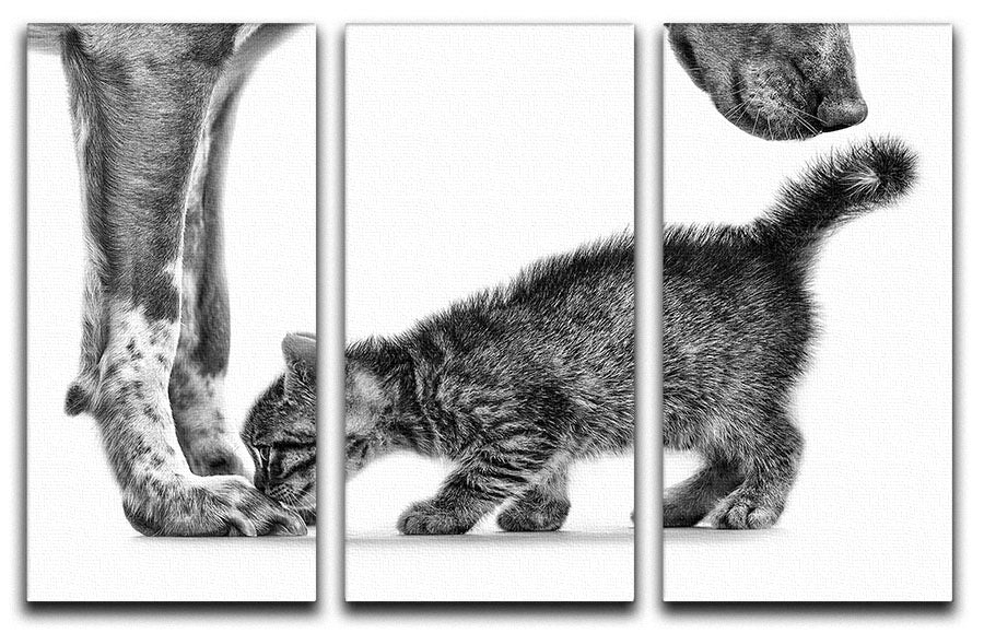 Smell Me 3 Split Panel Canvas Print showcasing three high-quality canvases with vibrant colors and intricate designs.