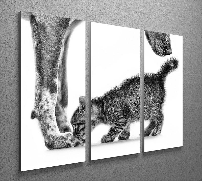 Smell Me 3 Split Panel Canvas Print showcasing three high-quality canvases with vibrant colors and intricate designs.
