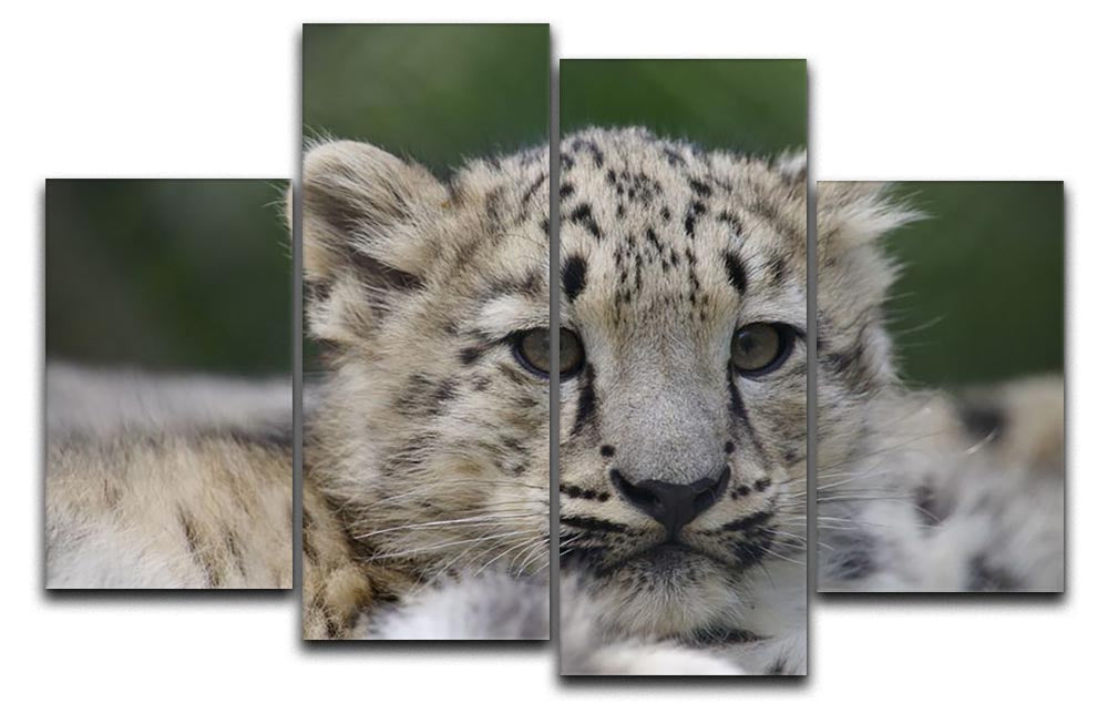 A beautiful 4-split canvas artwork featuring playful Snow Leopard cubs in their natural habitat, showcasing vibrant colors and intricate details.
