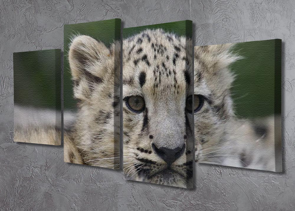 A beautiful 4-split canvas artwork featuring playful Snow Leopard cubs in their natural habitat, showcasing vibrant colors and intricate details.