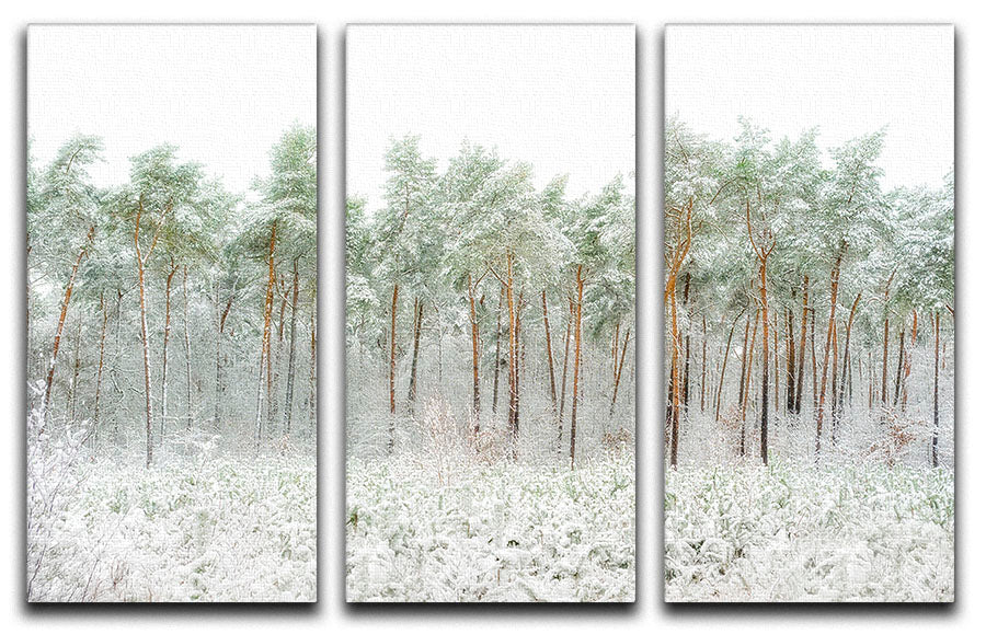 A beautiful 3-panel canvas print featuring a serene snow world scene, perfect for home decor.