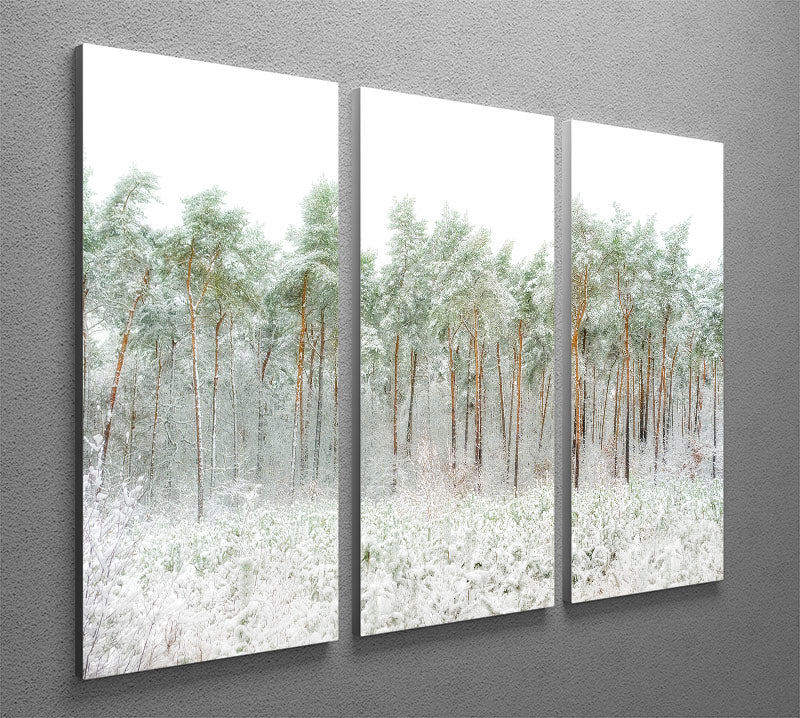 A beautiful 3-panel canvas print featuring a serene snow world scene, perfect for home decor.