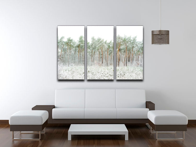 A beautiful 3-panel canvas print featuring a serene snow world scene, perfect for home decor.