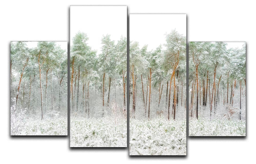 Snow World 4 Split Panel Canvas artwork featuring a serene winter landscape divided into four equal sections.