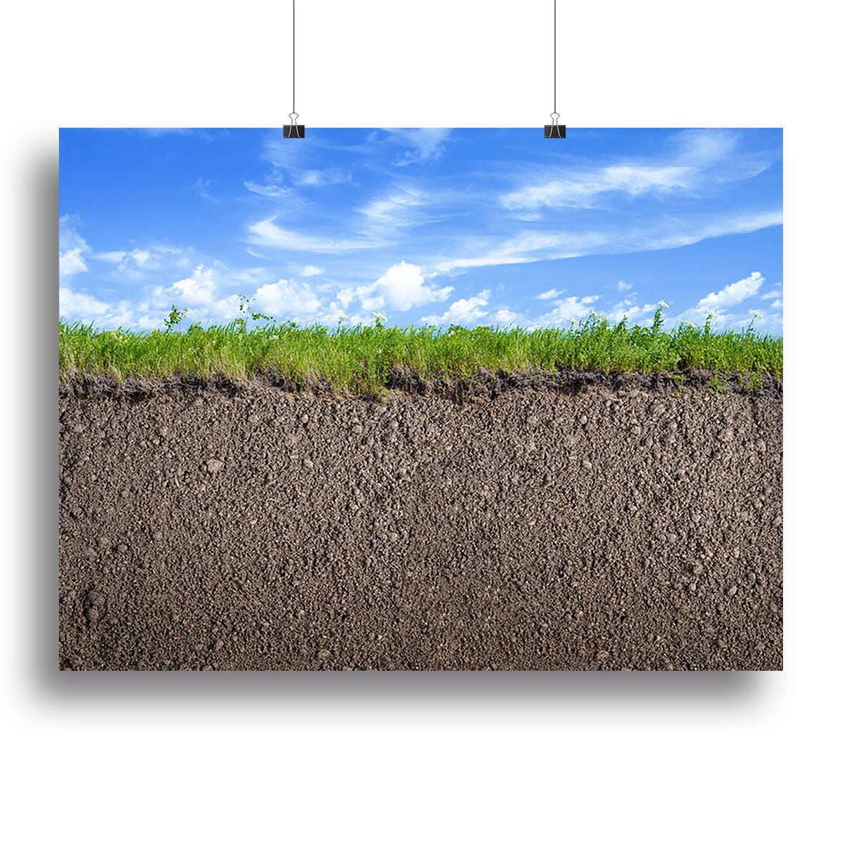 A beautiful Soil Ground Canvas Print showcasing intricate soil textures and earthy tones, perfect for home or office decor.