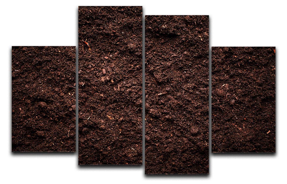 A 4-split canvas artwork featuring soil textures, creating a dynamic and multi-dimensional visual effect.