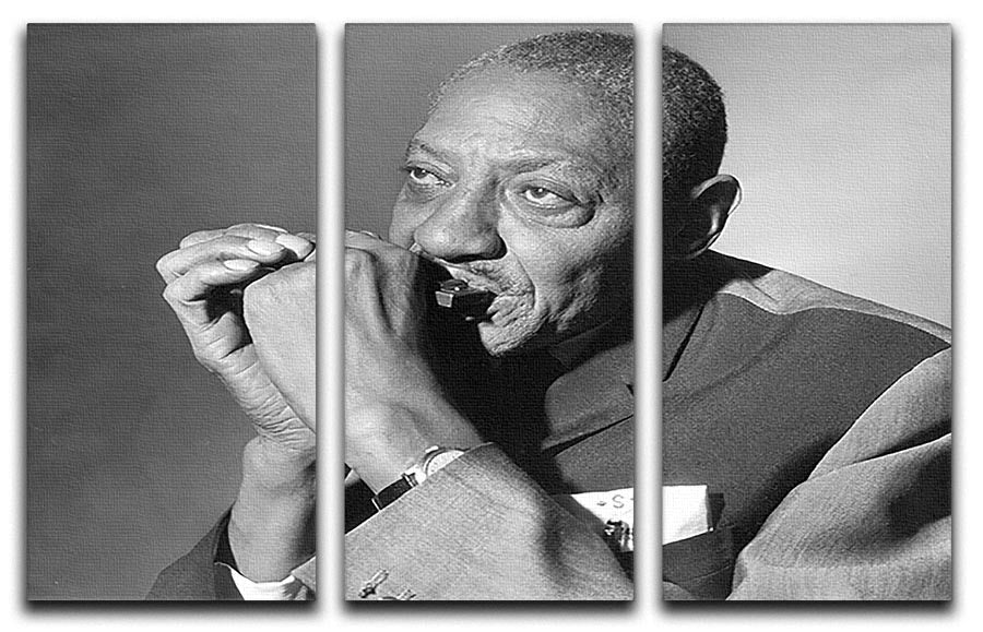 Sonny Boy Williamson 3 Split Panel Canvas Print featuring vibrant colors and intricate details, perfect for enhancing any living space.