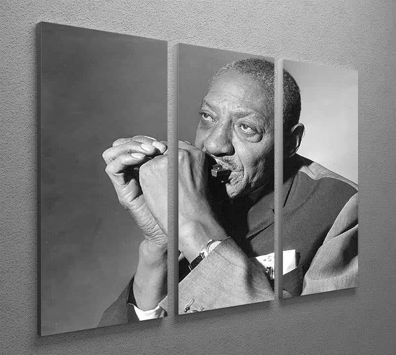 Sonny Boy Williamson 3 Split Panel Canvas Print featuring vibrant colors and intricate details, perfect for enhancing any living space.