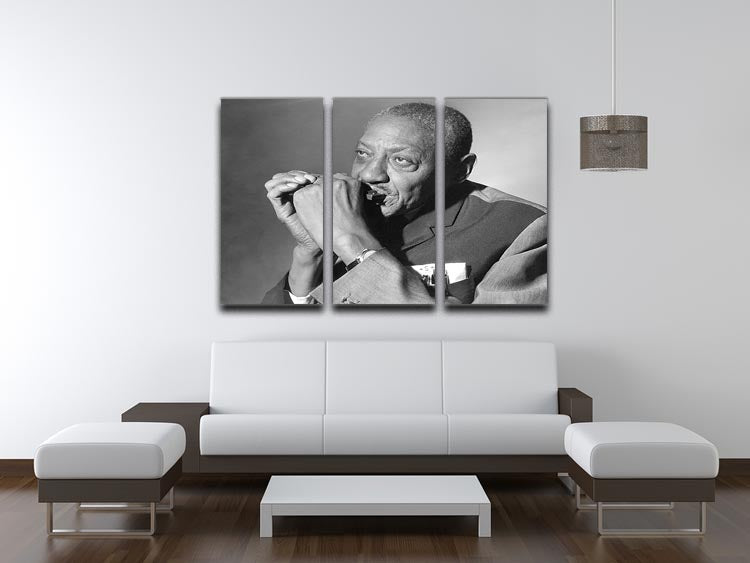 Sonny Boy Williamson 3 Split Panel Canvas Print featuring vibrant colors and intricate details, perfect for enhancing any living space.