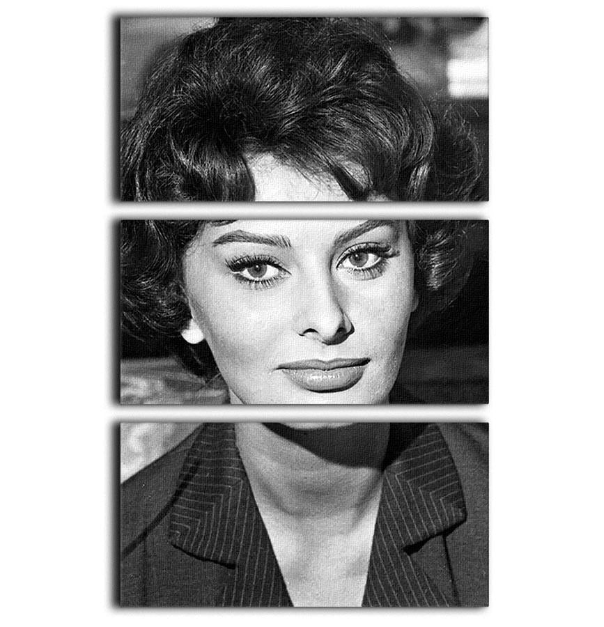 Sophie Loren 1957 3 Split Panel Canvas Print showcasing elegant design and vibrant colors.