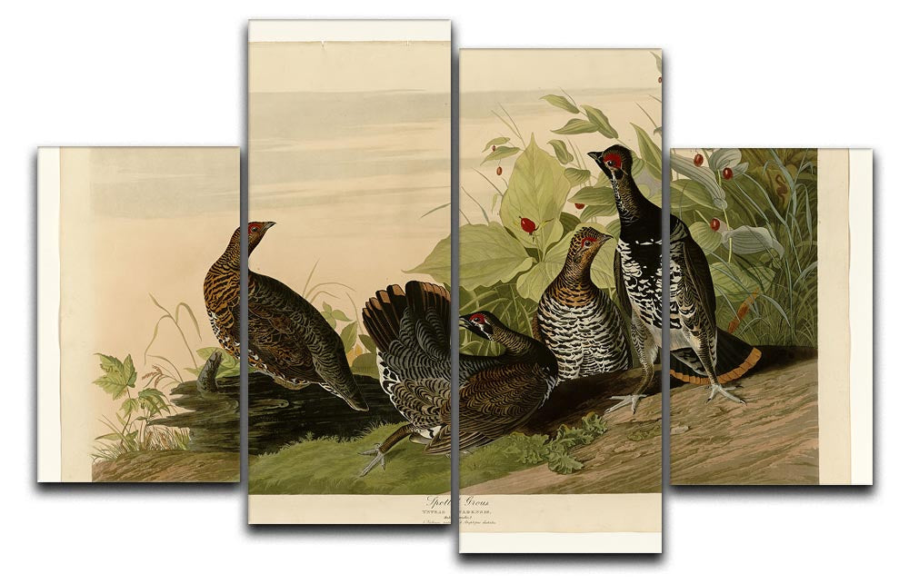 A beautiful 4-split canvas artwork featuring a spotted grouse, showcasing vibrant colors and intricate details across four panels.