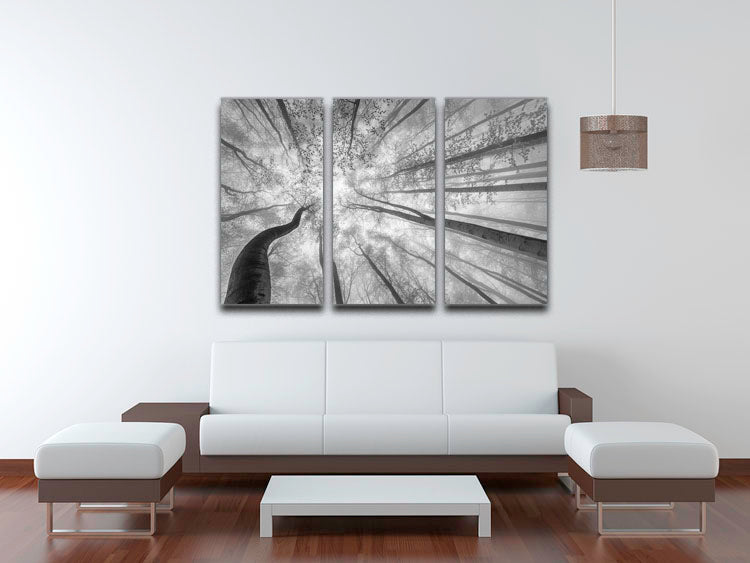 A beautiful 3-panel canvas print featuring a spring crown of trees, showcasing vibrant colors and intricate details.