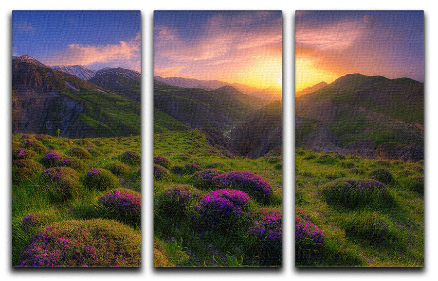 Three-panel canvas print featuring vibrant spring-themed artwork, perfect for home decor.