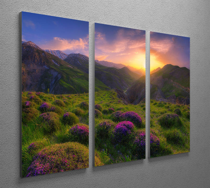 Three-panel canvas print featuring vibrant spring-themed artwork, perfect for home decor.