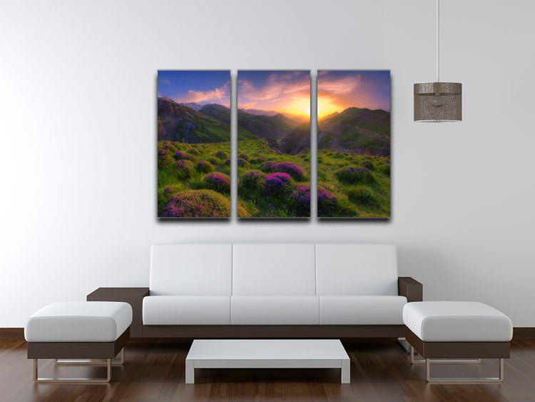 Three-panel canvas print featuring vibrant spring-themed artwork, perfect for home decor.