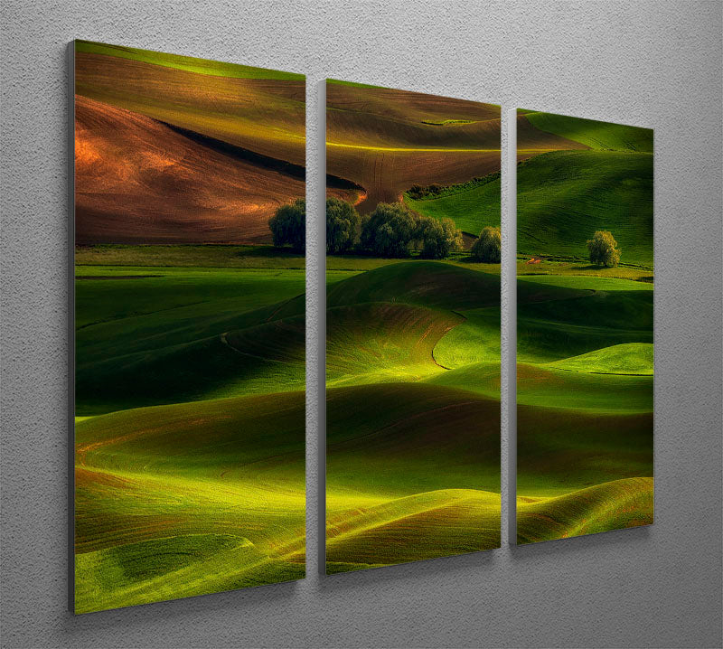 A beautiful 3-panel canvas print depicting the vibrant Spring In The Palouse landscape, showcasing lush greenery and rolling hills.