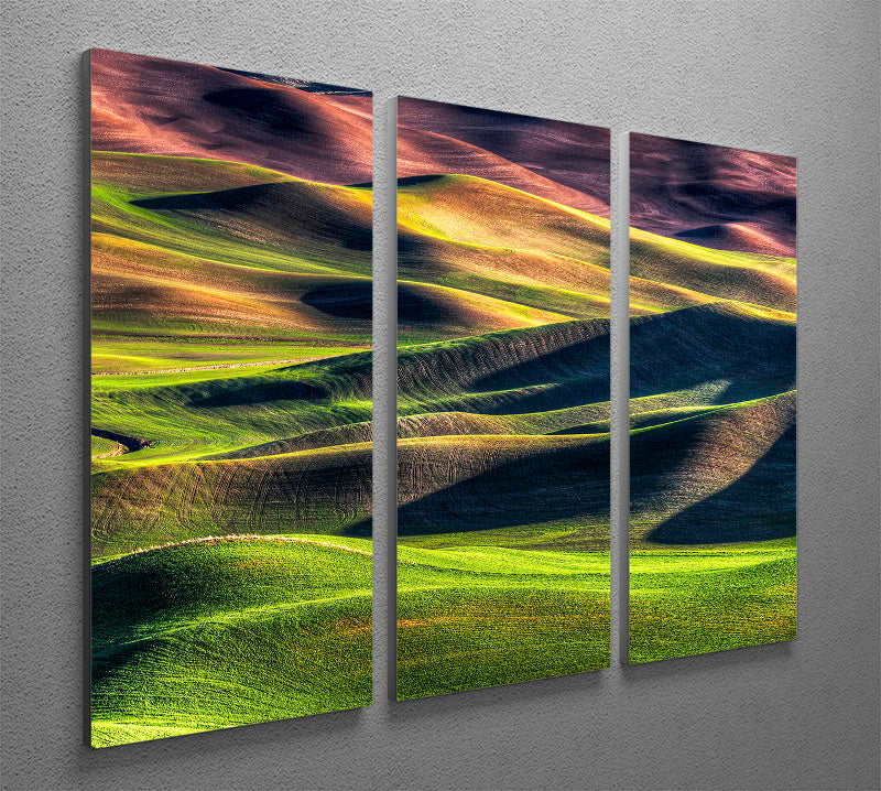 A beautiful 3-panel canvas print featuring a spring palette with vibrant colors, perfect for home decor.