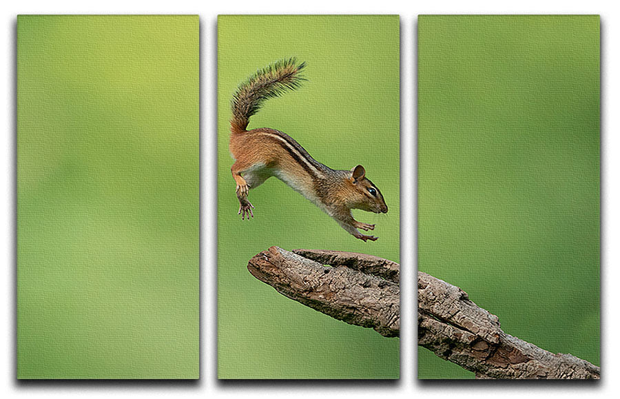 A stunning 3-panel canvas print featuring a leaping squirrel, perfect for home decor.