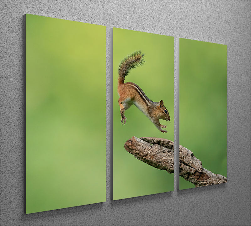 A stunning 3-panel canvas print featuring a leaping squirrel, perfect for home decor.