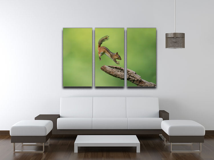 A stunning 3-panel canvas print featuring a leaping squirrel, perfect for home decor.