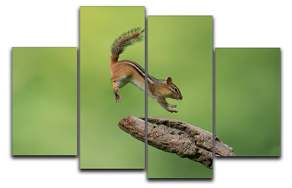 A vibrant 4-split canvas artwork featuring a leaping squirrel, showcasing dynamic movement and nature-inspired design.