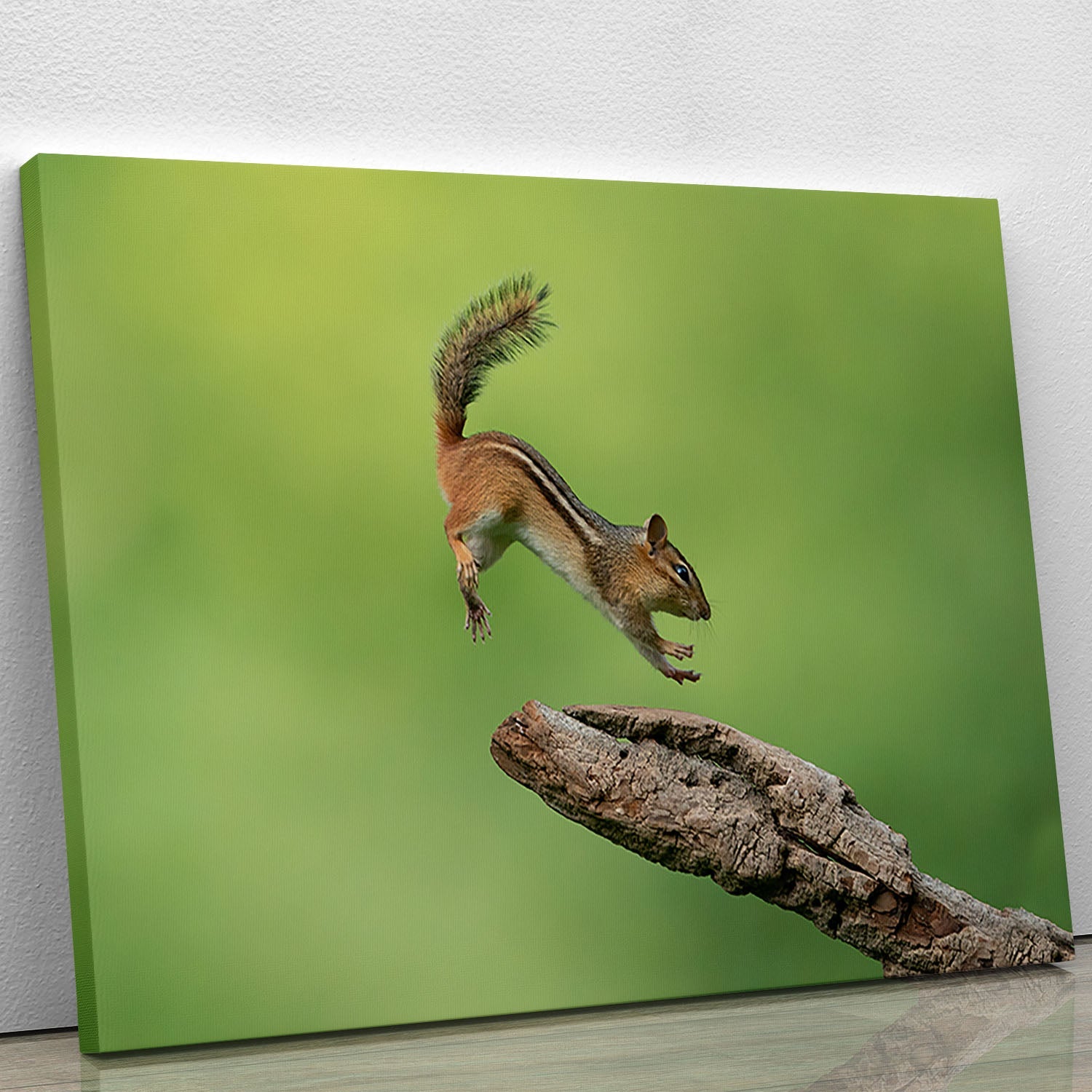 A vibrant canvas print featuring a leaping squirrel, showcasing its agility and playful nature against a colorful background.