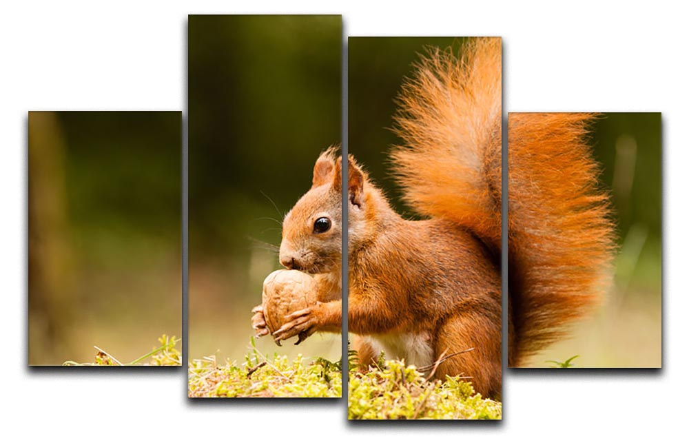 A charming 4-split canvas artwork featuring a squirrel holding a nut, perfect for nature-themed decor.
