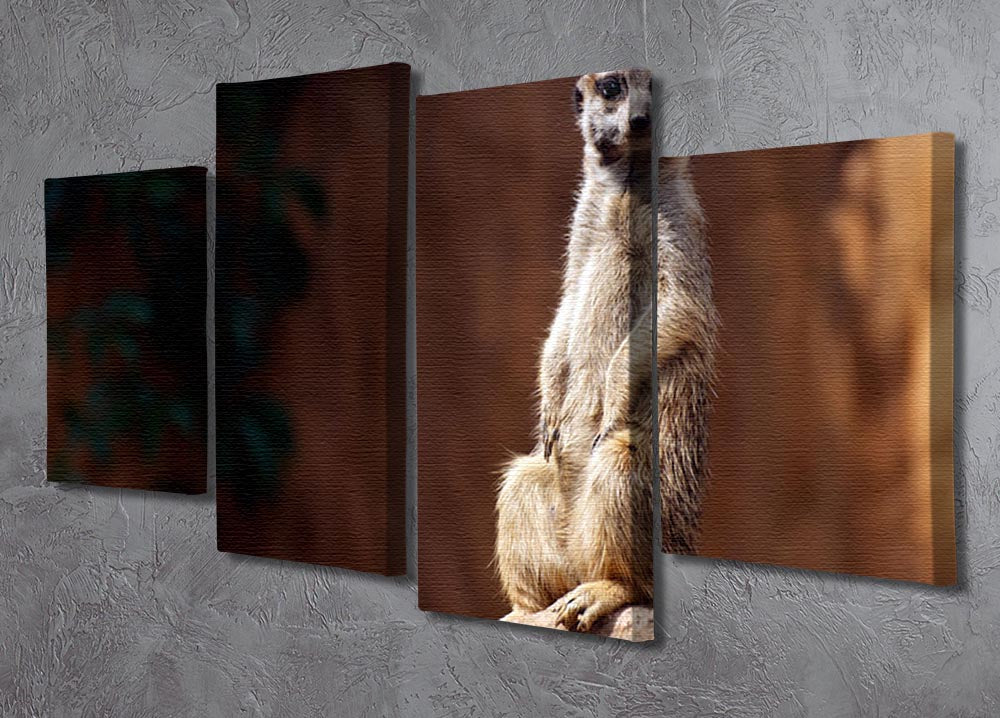 A vibrant 4-split canvas artwork featuring a standing African suricata meerkat, showcasing its playful nature and intricate details.