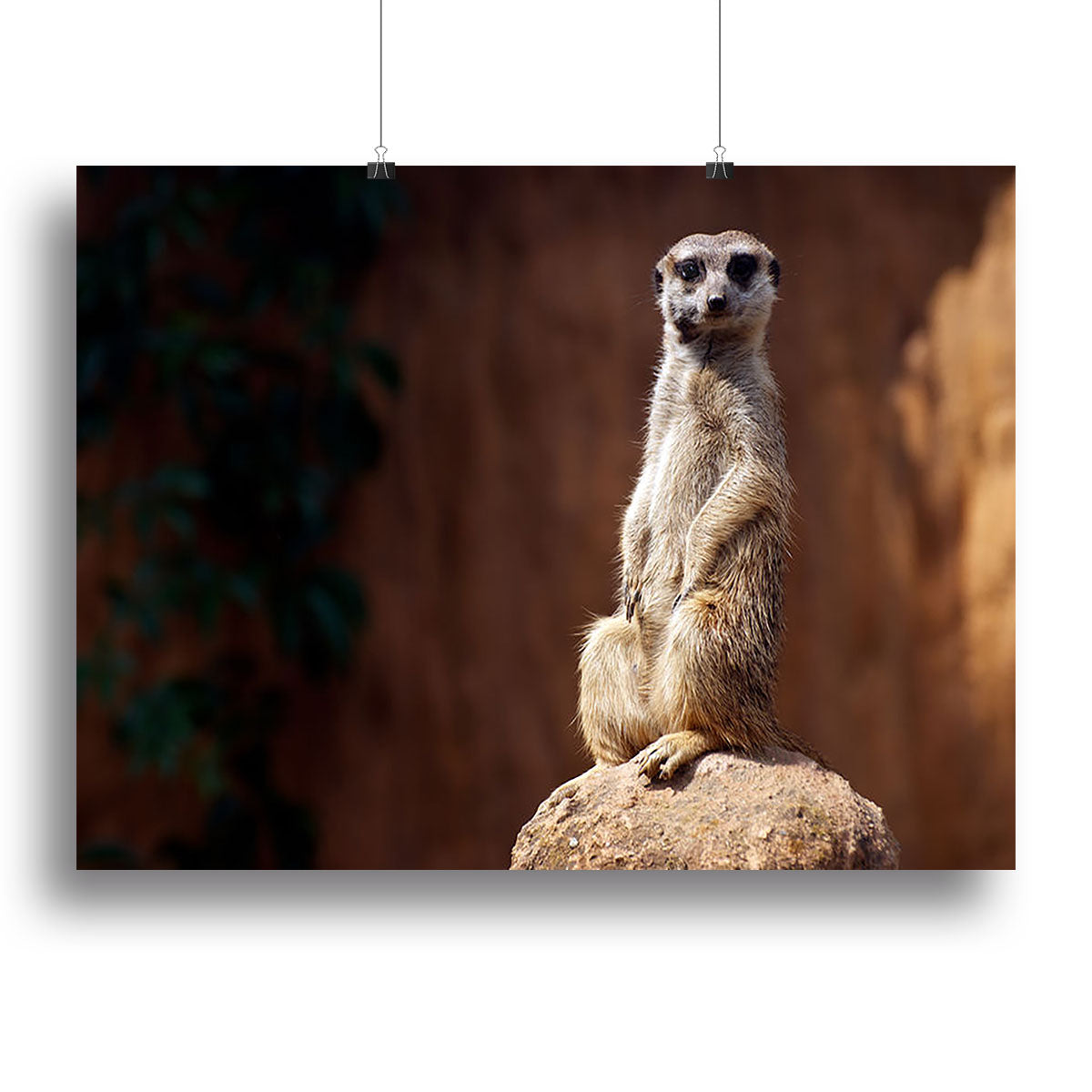 A vibrant canvas print featuring a standing African suricata meerkat, showcasing its curious expression and detailed fur.