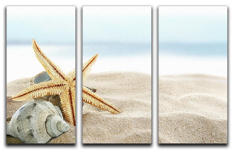A beautiful 3-panel canvas print featuring starfish on a sandy beach, showcasing vibrant colors and intricate details.