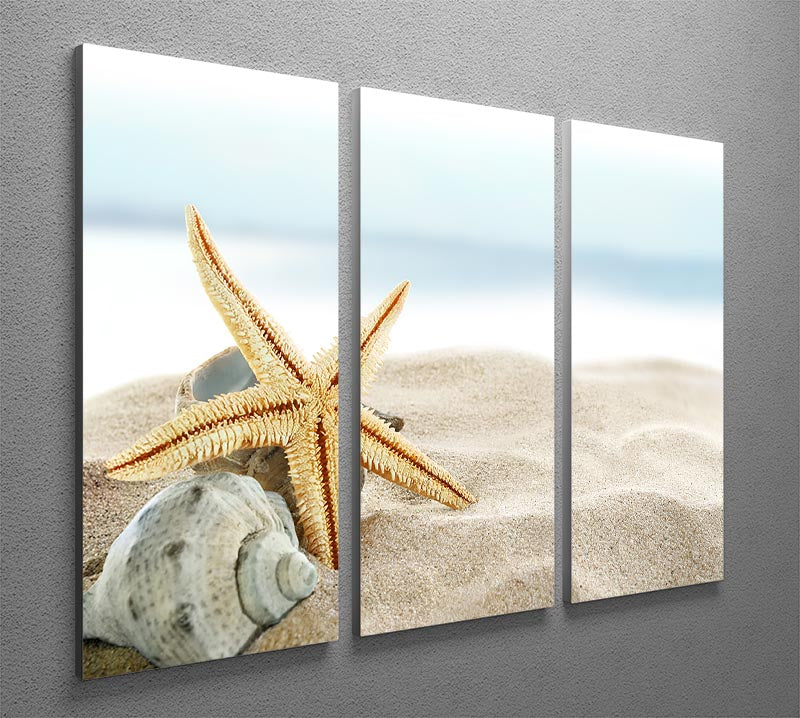 A beautiful 3-panel canvas print featuring starfish on a sandy beach, showcasing vibrant colors and intricate details.