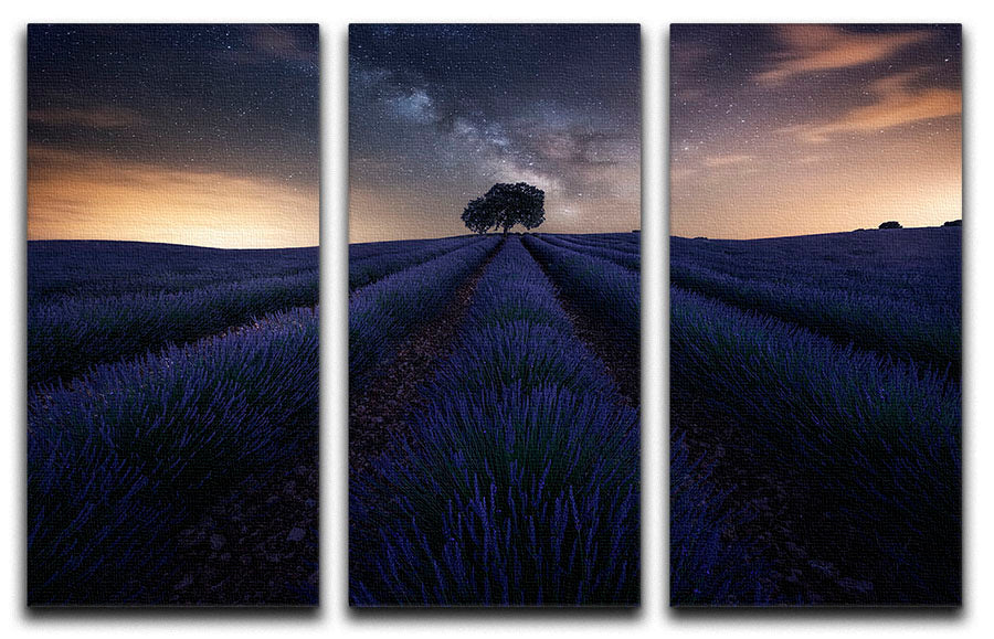 Three-panel canvas print featuring Starry Night over a lavender field, showcasing vibrant colors and intricate details.