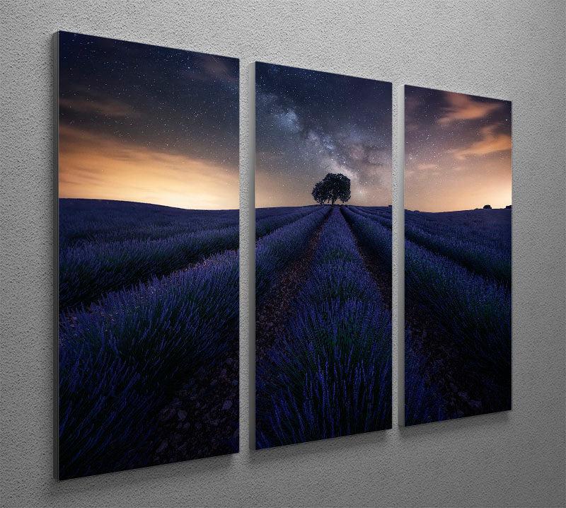 Three-panel canvas print featuring Starry Night over a lavender field, showcasing vibrant colors and intricate details.