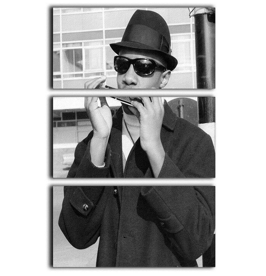 A stunning 3-panel canvas print featuring Stevie Wonder playing the harmonica, showcasing vibrant colors and artistic design.