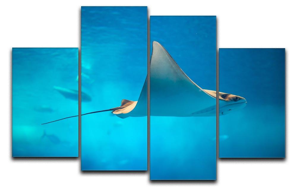 A beautiful 4-split canvas artwork featuring a stingray swimming gracefully in an aquarium setting, showcasing vibrant colors and dynamic design.