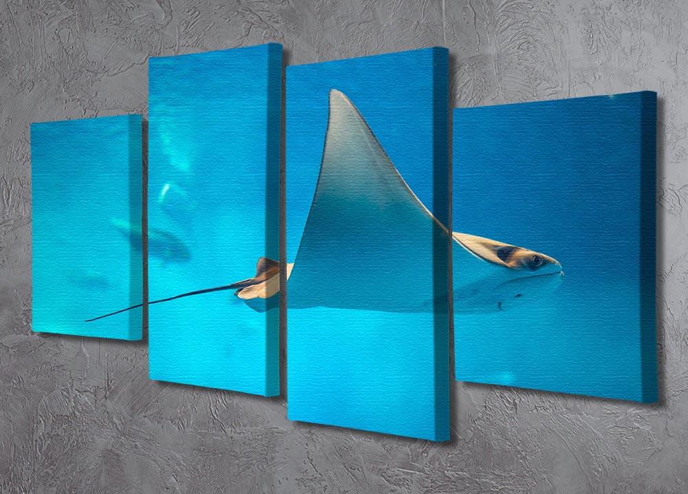 A beautiful 4-split canvas artwork featuring a stingray swimming gracefully in an aquarium setting, showcasing vibrant colors and dynamic design.