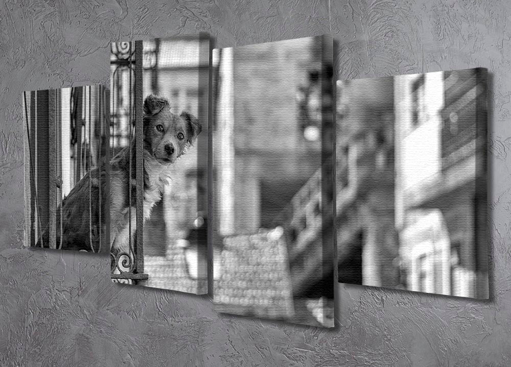 A vibrant 4-split canvas artwork featuring street dogs, showcasing dynamic urban life in a multi-panel format.