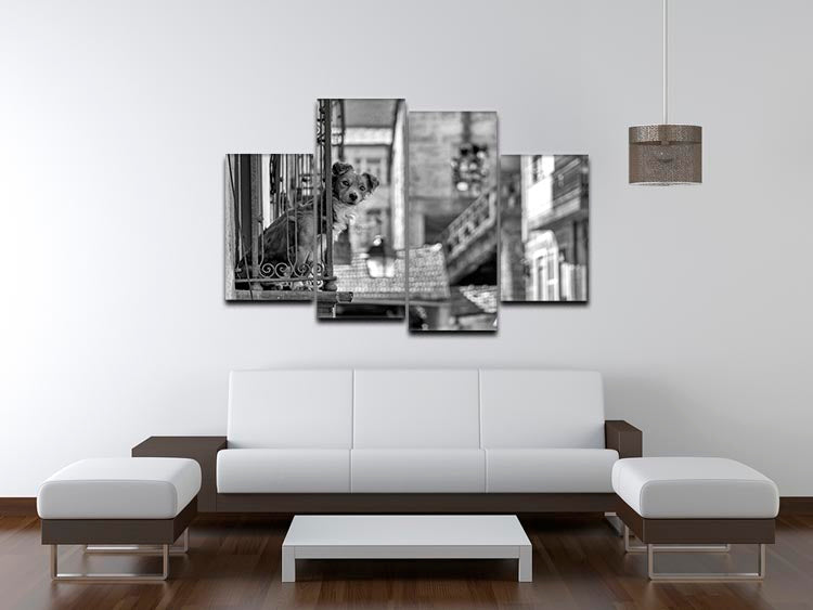 A vibrant 4-split canvas artwork featuring street dogs, showcasing dynamic urban life in a multi-panel format.
