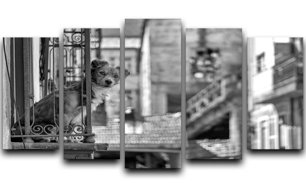 Street Dog 5 Split Panel Canvas artwork featuring vibrant street dog imagery across five panels, creating a dynamic and engaging display.