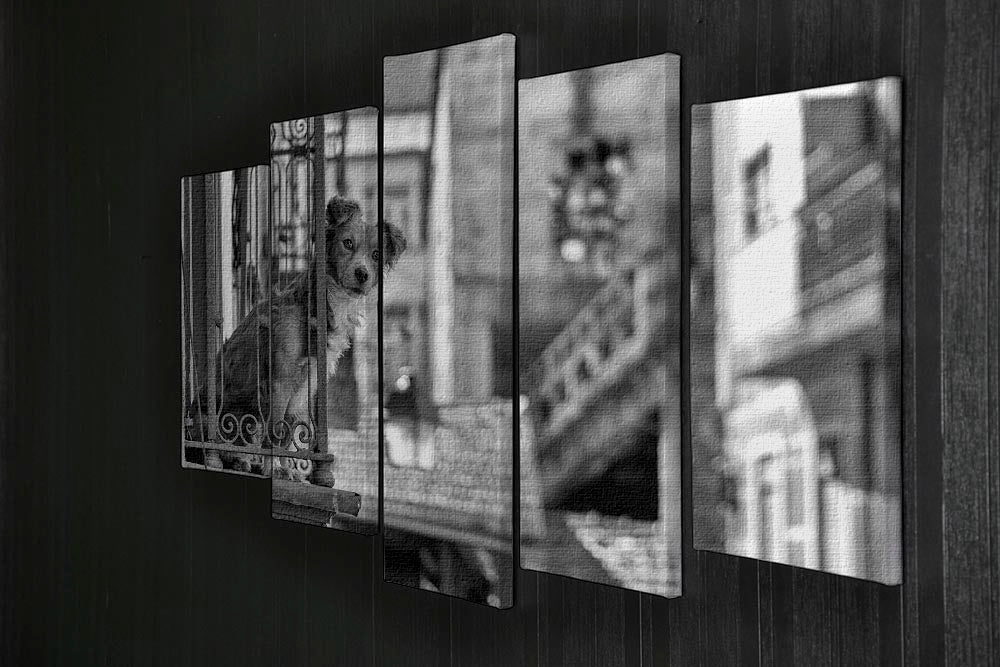 Street Dog 5 Split Panel Canvas artwork featuring vibrant street dog imagery across five panels, creating a dynamic and engaging display.