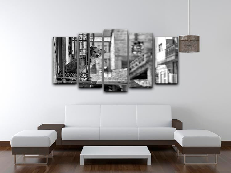 Street Dog 5 Split Panel Canvas artwork featuring vibrant street dog imagery across five panels, creating a dynamic and engaging display.