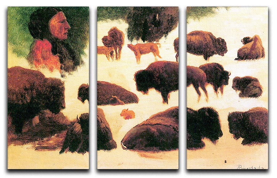 Three-panel canvas print featuring the Study of Buffaloes by Bierstadt, showcasing detailed buffalo artwork in a natural setting.