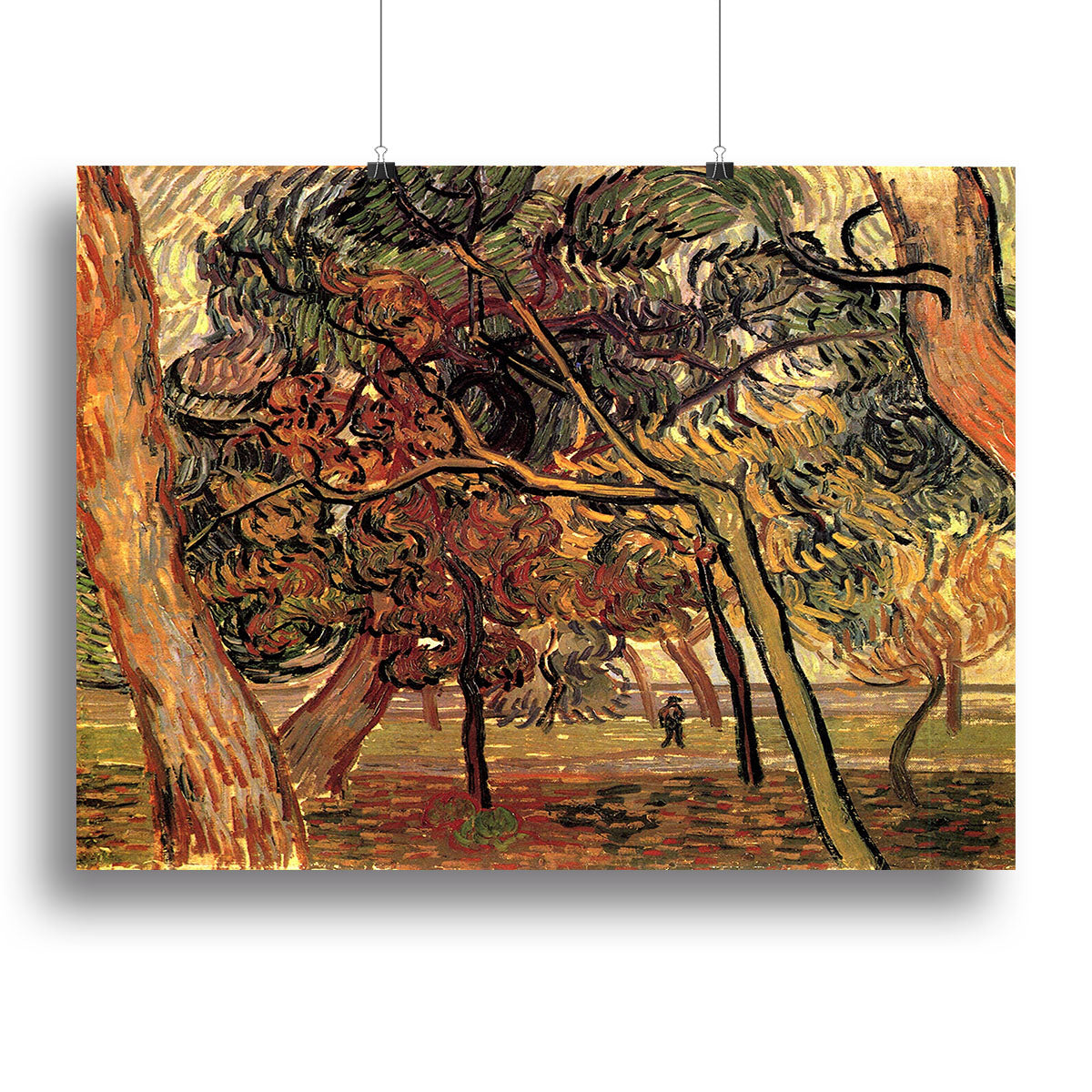 Canvas print of Van Gogh's Study of Pine Trees, showcasing vibrant colors and intricate details of nature.
