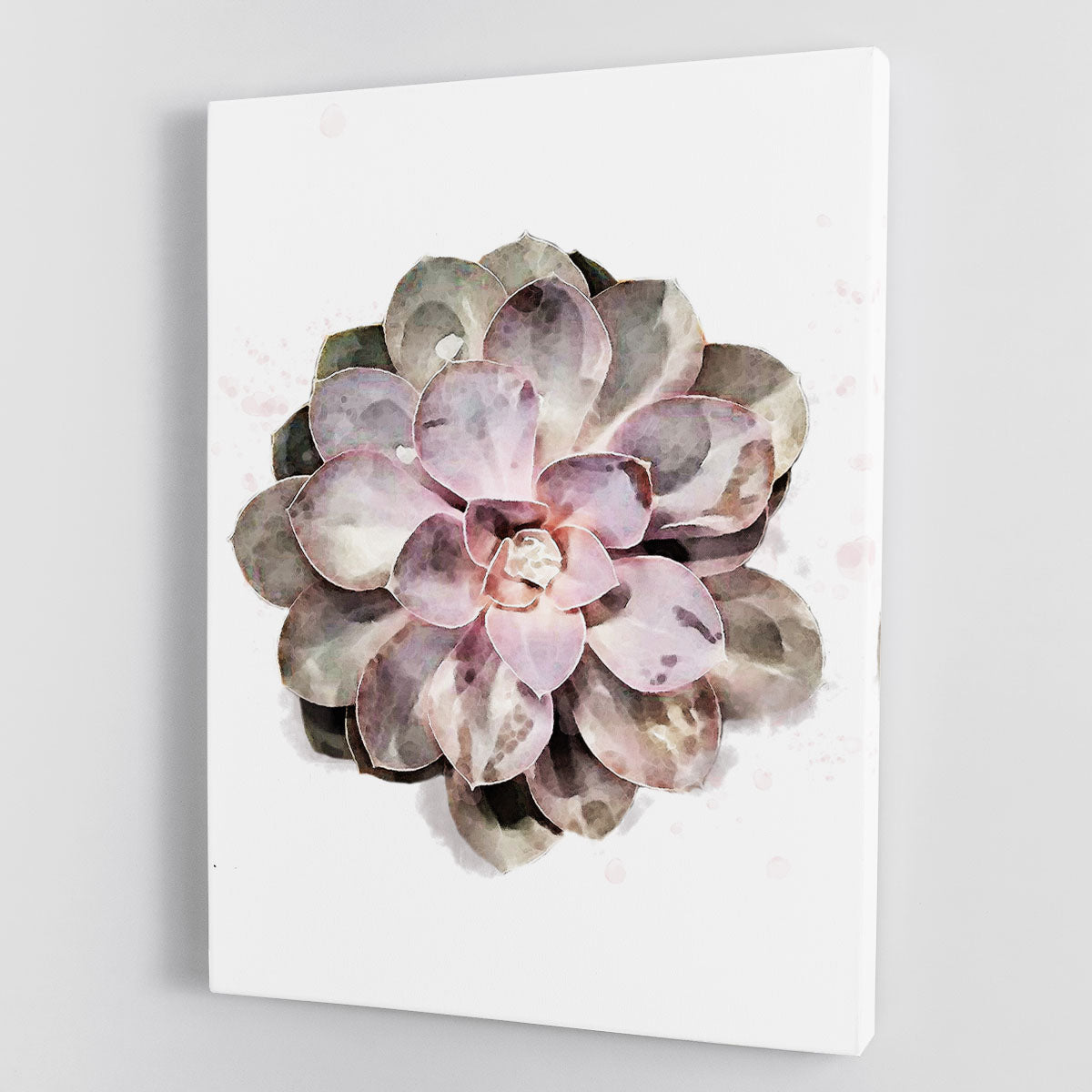 Succulent 01 Canvas Print featuring vibrant green succulents on a textured background, perfect for home decor.