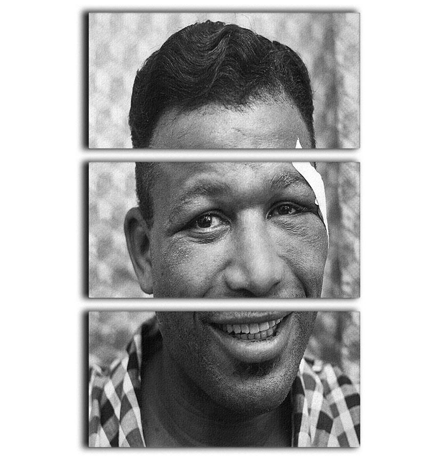 Sugar Ray Robinson Boxer 3 Split Panel Canvas Print featuring a dynamic design of the legendary boxer, perfect for enhancing any decor.