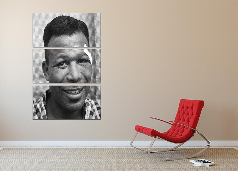 Sugar Ray Robinson Boxer 3 Split Panel Canvas Print featuring a dynamic design of the legendary boxer, perfect for enhancing any decor.
