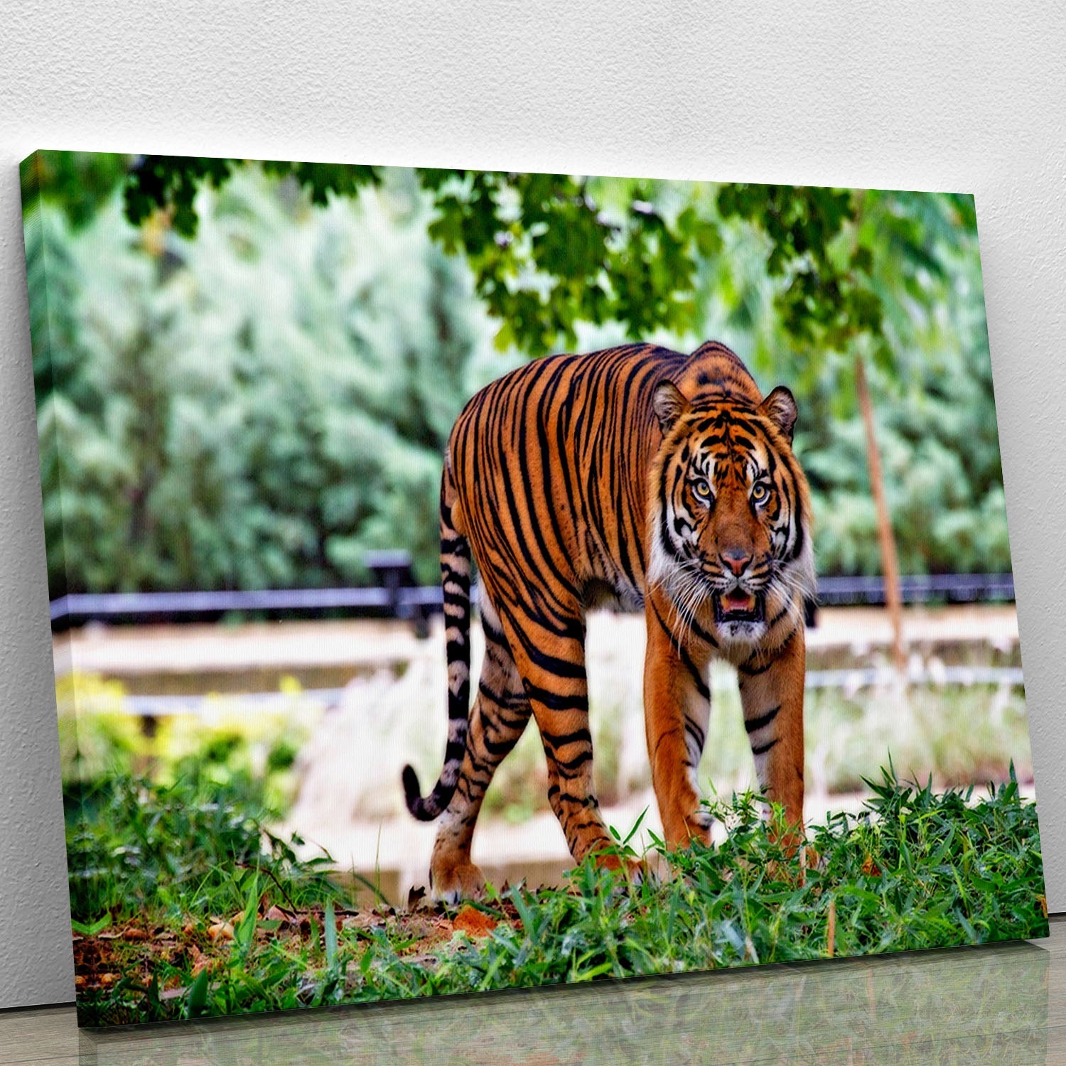 A vibrant canvas print of a Sumatran Tiger showcasing its striking orange fur and bold black stripes, perfect for home decor.