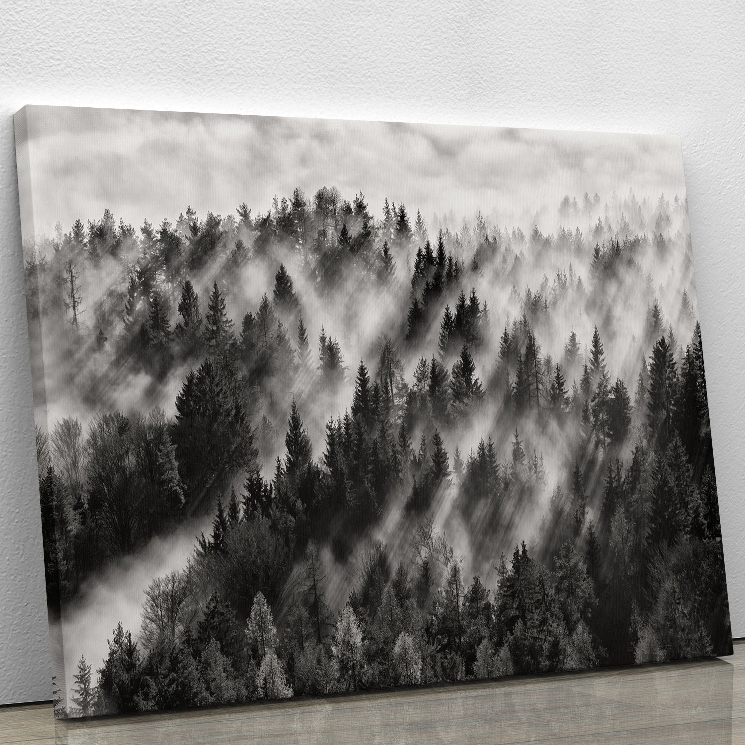 Sundance No1 Canvas Print featuring modern art design, perfect for home decor.